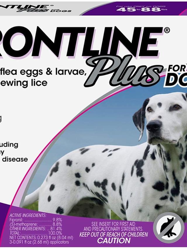 Best Flea and Tick Treatments