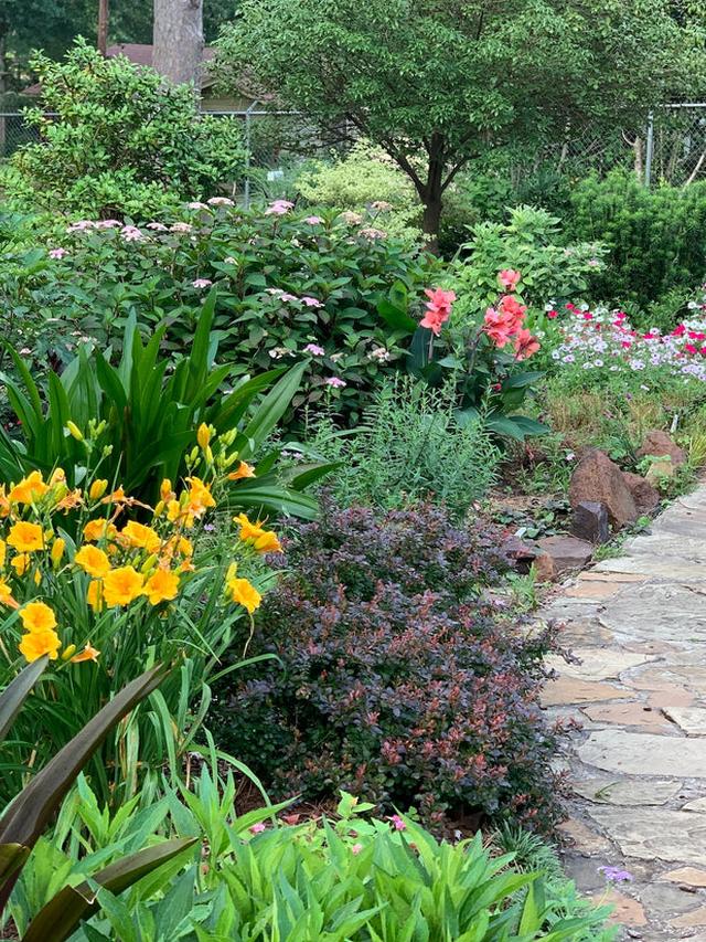 Creating a Low-Maintenance Garden with Perennial Flowers