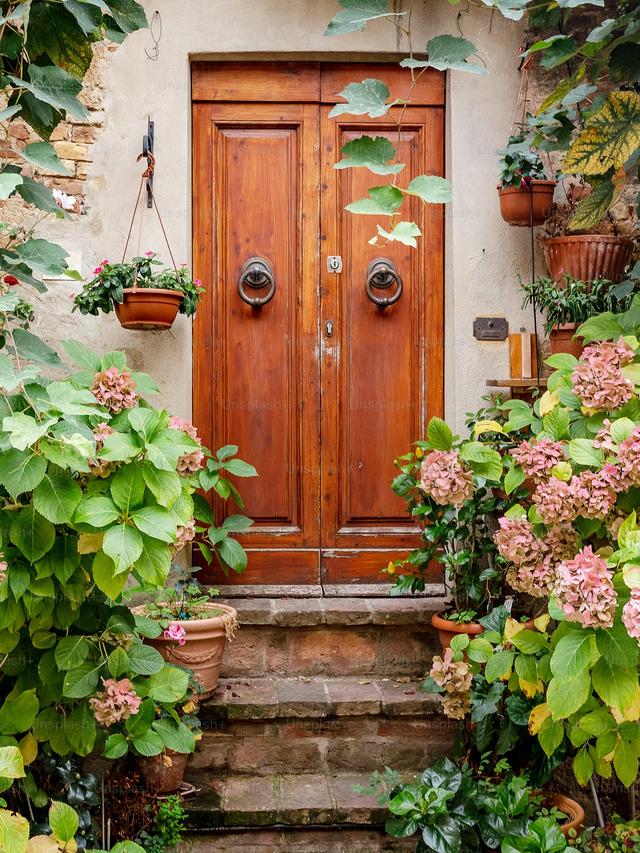 Creating a Perennial Flower Wall