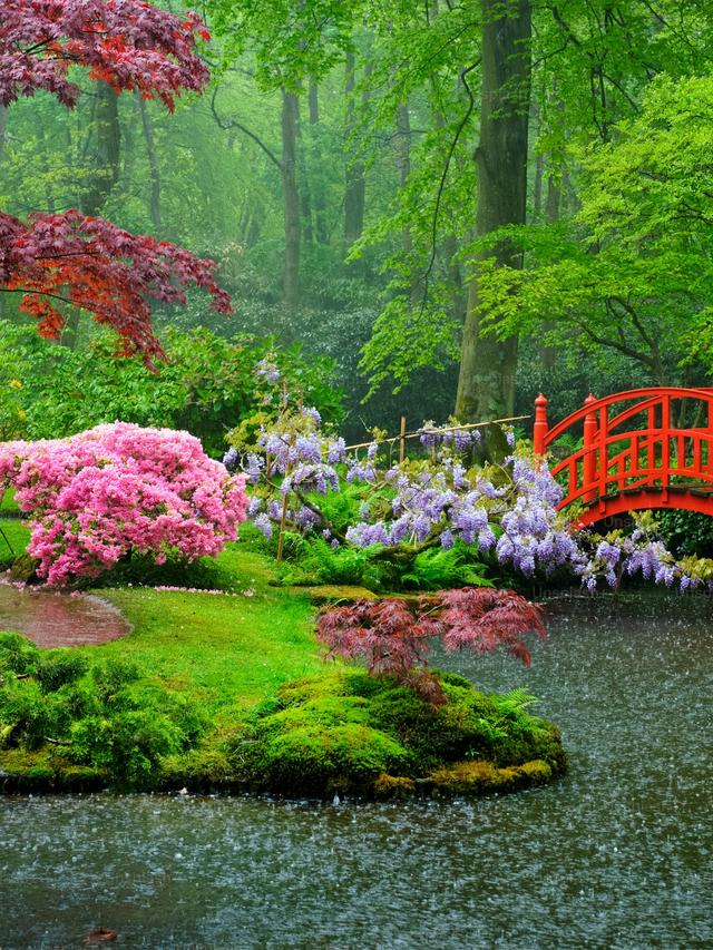 Creating a Zen Garden with Perennial Flowers