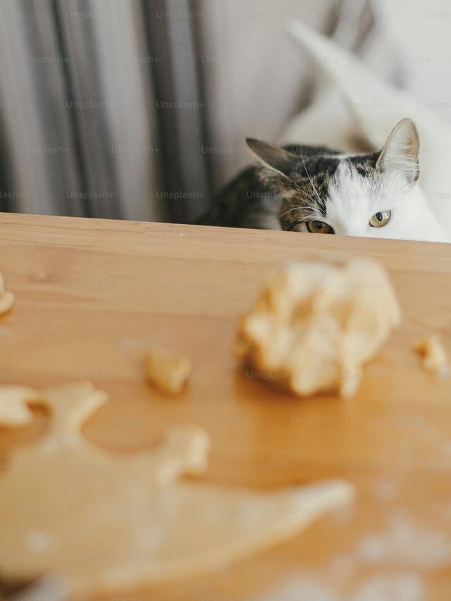 How to Make Homemade Cat Treats