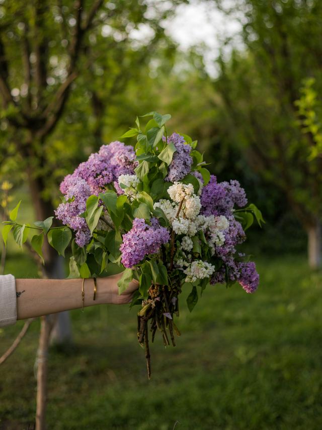 Perennial Flowers for Cottage Gardens