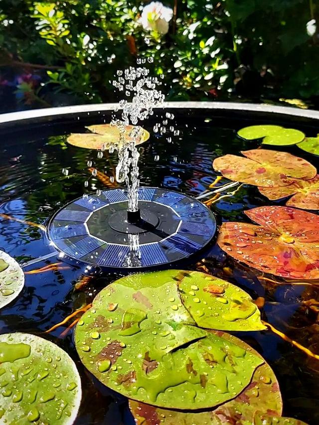 Perennial Flowers for Water Features