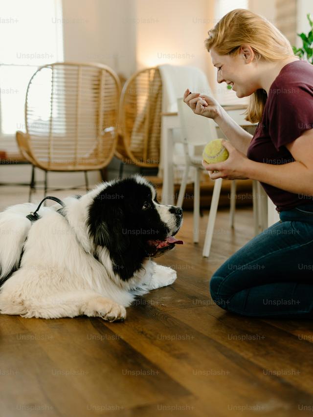 Teaching Your Dog to Weave