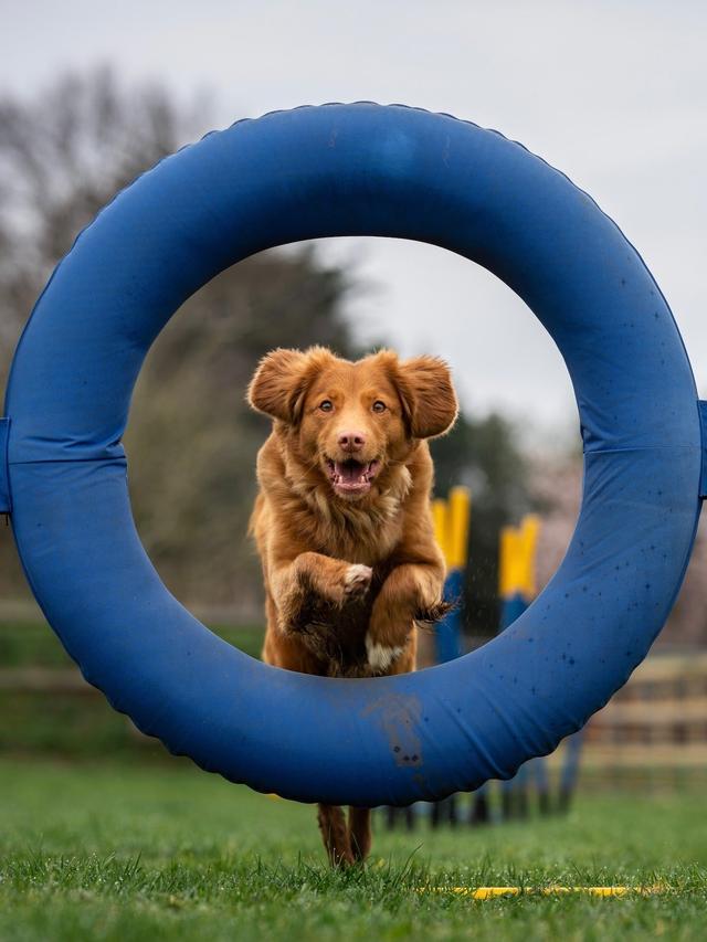 Training for Rally Trials